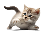 dejandohuellacol.pet
