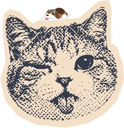 Gato